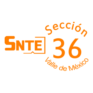 Snte Sección36