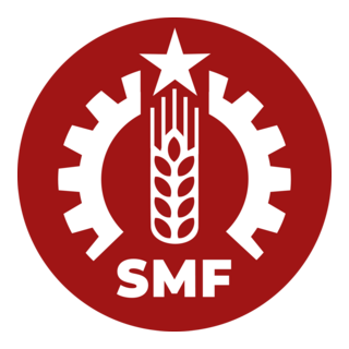 Sosyalist Meclisler Federasyonu