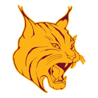 South Windsor Bobcats Spot Color