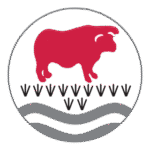 The Bulmershe School Logo Transparent PNG