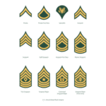 U S Army Enlisted Rank Insignia Logo Transparent PNG