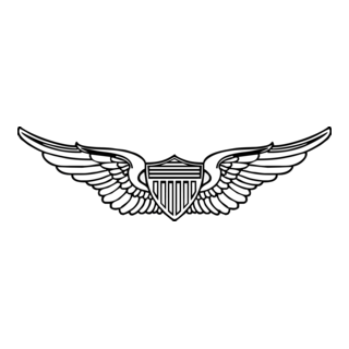 US Army Pilot