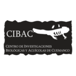Uam Cibac Logo Transparent PNG