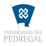 Universidad Del Pedregal Logo Transparent PNG