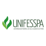 Universidade Federal Do Sul E Sudeste Logo Transparent PNG