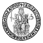 Università Degli Studi Di Napoli Federico Ii Logo Transparent PNG