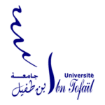 Université Ibn Tofaïl Logo Transparent PNG