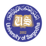 University Of Sargodha Logo Transparent PNG