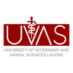 University Of Veterinary Animal Sciences Logo Transparent PNG