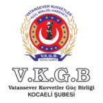 VKGB Kocaeli Logo Transparent PNG