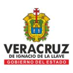 Veracruz Logo Transparent PNG