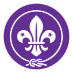 Wosm Logo Transparent PNG