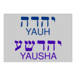 YAUH YAUSHA Logo Transparent PNG