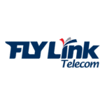 Fly Link Logo Transparent PNG