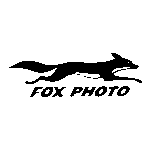 Fox Photo Logo Transparent PNG