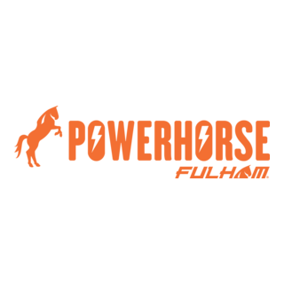 Fulham Powerhorse LED Driver Program India