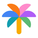Google Palm Logo Transparent PNG