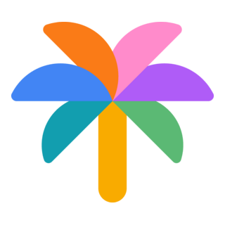 Google Palm