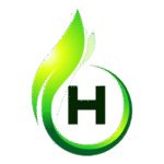Habib It Solutions Logo Transparent PNG
