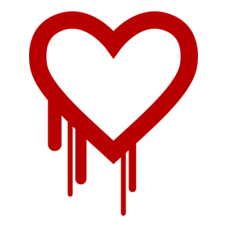 Heartbleed Bug