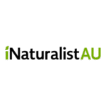 Inaturalist Australia Logo Transparent PNG