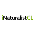 Inaturalist Chile Logo Transparent PNG