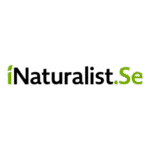 Inaturalist Sweden Logo Transparent PNG