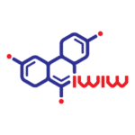Iwiw Logo Transparent PNG