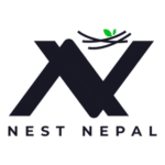 Nest Nepal Business Solutions Logo Transparent PNG