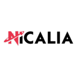 Nicalia Internet S.L.U. Logo Transparent PNG