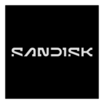 Sandisk Gray New Logo Transparent PNG