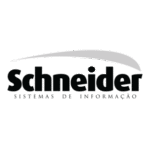Schneider Pb Logo Transparent PNG