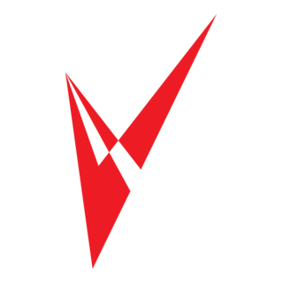 Vigos AG