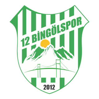 12 Bingölspor