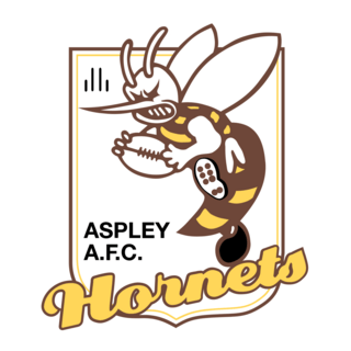 AFC Aspley Hornets