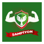 AMED SPORT Logo Transparent PNG