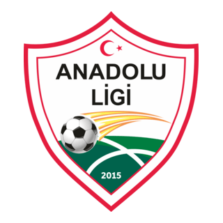 ANADOLU LİGİ