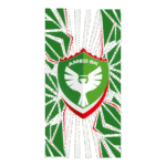 Amed Sportif Logo Transparent PNG