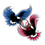 American National Logo Transparent PNG