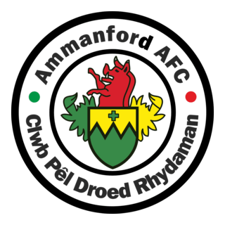 Ammanford Association FC