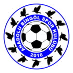 Anadolu Bingölspor Logo Transparent PNG