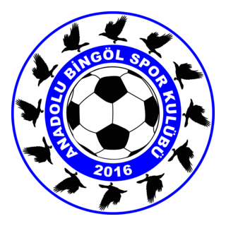 Anadolu Bingölspor