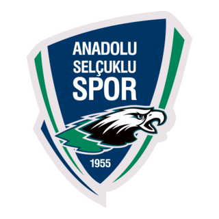 Anadolu Selçuklu Spor