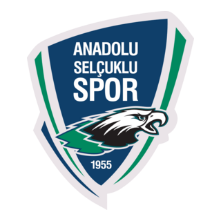 Anadolu Selcukluspor
