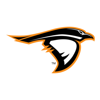 Anderson Ravens