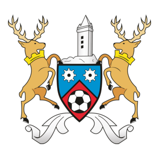 Ards FC