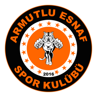 Armutlu Esnafspor