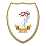Asociación De Fútbol Amateur De Santa Lucía Logo Transparent PNG