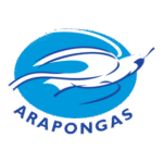 Associacao Atletica Arapongas De Arapongas pr Logo Transparent PNG