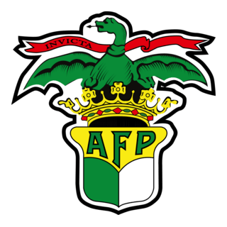 Associação De Futebol Do Porto AFP